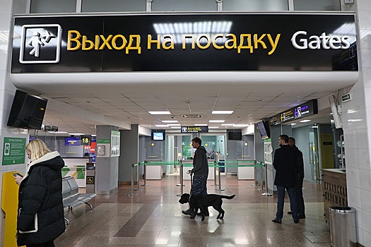 Аэропорт Шереметьево ввел в график полетов рейсы в Краснодар