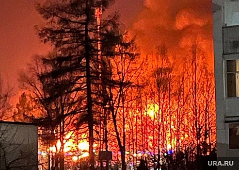 Челябинскую область назвали одним из самых пожароопасных регионов