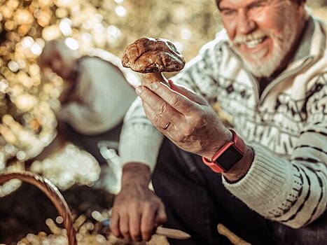 Миколог Вишневский назвал самый безопасный способ заготовки грибов