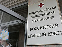 На экс-главу «Российского Красного Креста» завели дело