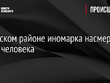 В Лужском районе иномарка насмерть сбила человека