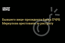 Бывшего вице-президента Первого чешско-российского банка арестовали за растрату