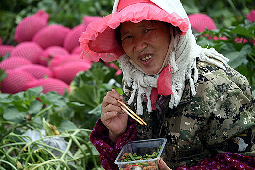 Bloomberg (США): Китай проникает на российский Дальний Восток в погоне за продукцией земледелия