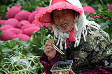 Bloomberg (США): Китай проникает на российский Дальний Восток в погоне за продукцией земледелия