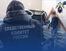 Опубликовано видео задержания гендиректора компании по благоустройству