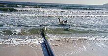 В Феодосии на пляже нашли трубу, выходящую из песка в море