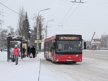 В Казани кондуктор накричала на дедушку из-за тележки с картоном — видео