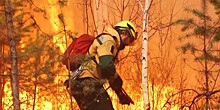 Остановить огонь: как парашютисты-десантники борются с лесными пожарами?
