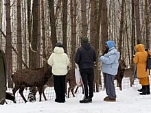 Экологическую экскурсию организовали для семей нижегородских участников СВО
