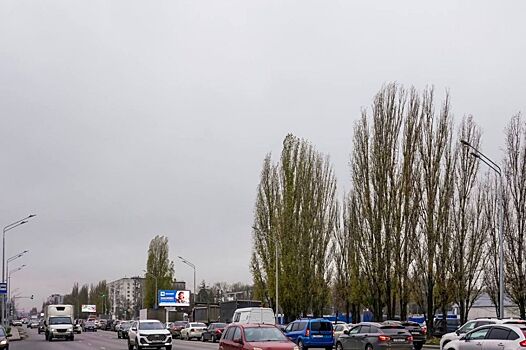 «Чистое небо» на проспекте Ленина в Нижнем Новгороде обошлось в 180 млн рублей