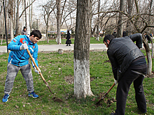 Титулованные махачкалинские спортсмены вышли на субботник