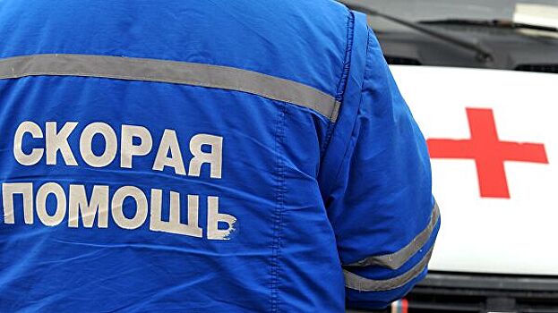 В Новосибирской области автомобиль врезался в пешеходов