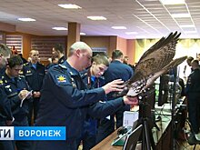 Как учёные Воронежской военно-воздушной академии готовятся к форуму «Армия-2018»