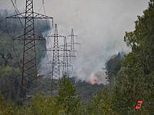 Для тушения лесных пожаров в Свердловской области привлечено 4,5 тысячи человек