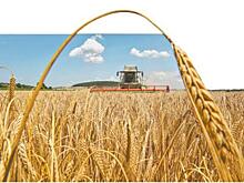 Нахлебники - От экспорта российского зерна выигрывают перекупщики