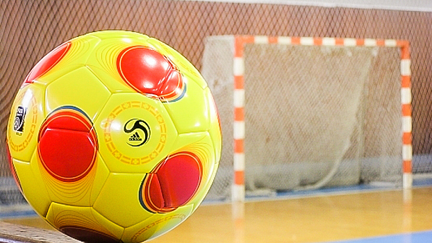 Семинар и открытую тренировку по мини-футболу проведут для вологодских спортсменов