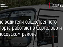 Лучшие водители общественного транспорта работают в Сертолово и в Ломоносовском районе