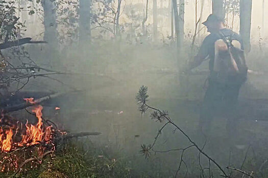 В Минусинске появится новый гарнизон для тушения лесных пожаров