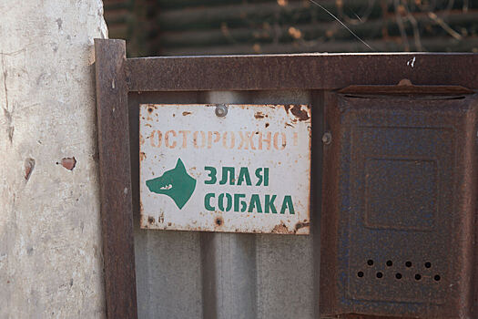 Собака насмерть загрызла хозяина в Москве