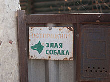 Собака насмерть загрызла хозяина в Москве