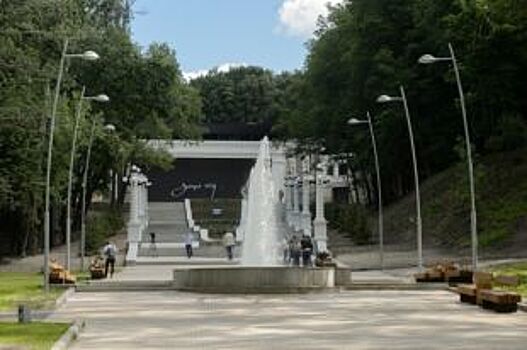 Воронежцы могут выбрать дизайн сайта Центрального парка культуры и отдыха