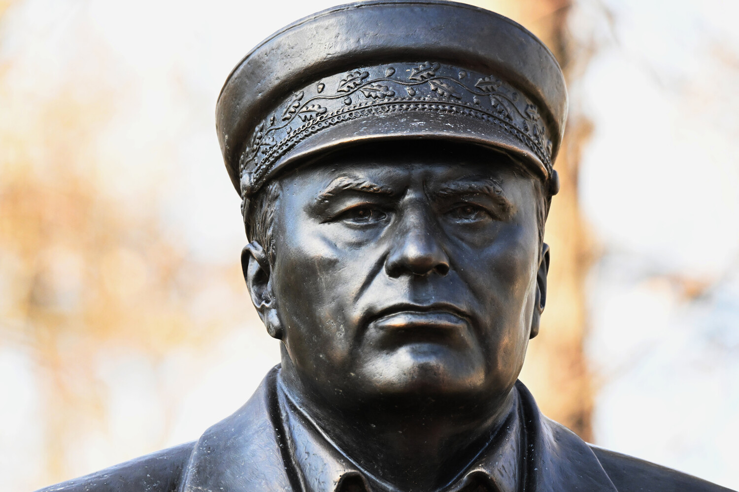 ЛДПР намерена открыть памятник основателю партии Жириновскому в Севастополе