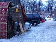Пермяки обсуждают в соцсетях фото с «мерзнущим» слоном у Театра оперы и балета