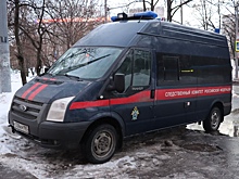 Россиянки устроились нянями в Подмосковье и пропали. Что с ними сделал работодатель