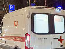 Женщину заподозрили в попытке убийства дочери молотком в Ленобласти