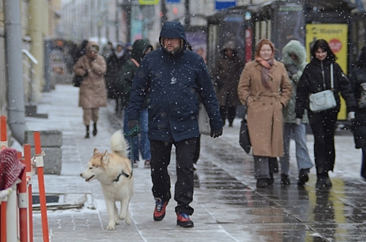 Синоптик рассказал, когда в Петербурге выпадет снег