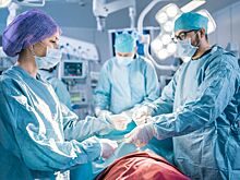 В России начнут пересаживать матки