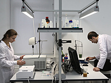 Томские ученые предлагают добывать "трудную нефть" при помощи уробактерий