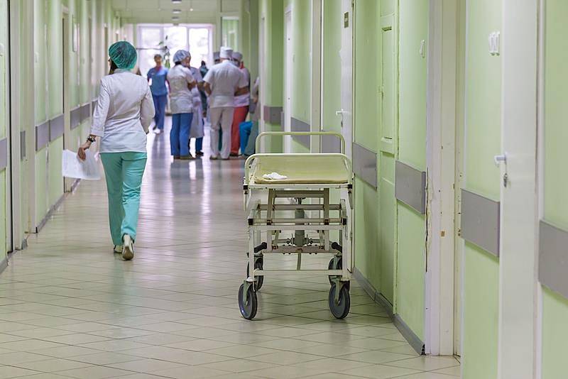 12-летняя школьница попала в больницу после укуса гадюки под Москвой