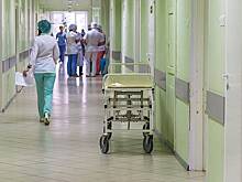 12-летняя школьница попала в больницу после укуса гадюки под Москвой