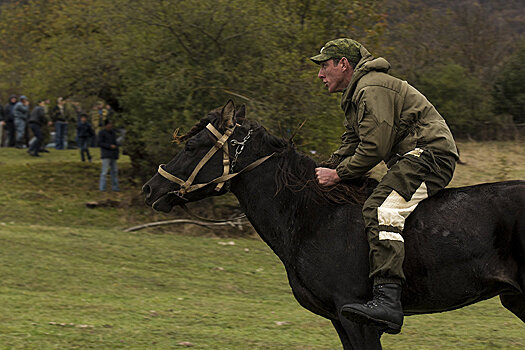 Конные скачки в Южной Осетии: наездников приглашают в Джерское ущелье