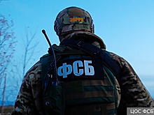 ФСБ задержала сотрудника центра «Вектор» за хищения и взятку