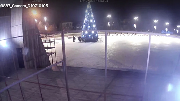 В центре Пугачева любители дрифта вырвали ветку из главной новогодней елки города