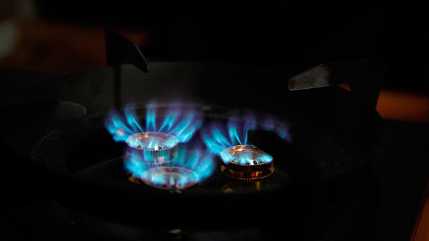 Эксперт перечислил угрозы для ЕС из-за отказа от российского газа