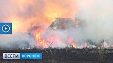 Пикники без огня. Новые противопожарные правила вступят в силу с 20 сентября