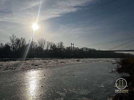 В Оренбургской области из реки вытащили тонущую женщину