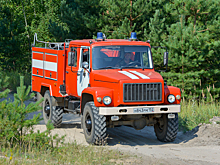 Более 360 дел возбуждено из-за нарушений пожарной безопасности в лесах Нижнего Новгорода