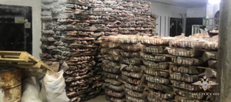Судак, шемая, толстолобик и рыбец. В Ростовской области полицейские изъяли 75 тонн незаконно добытой рыбы