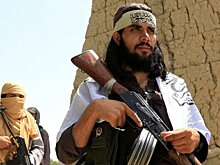 Россия не примет участия в инаугурации кабмина талибов