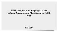 Приход собора под Петербургом просит власти передать ему храм на 100 лет