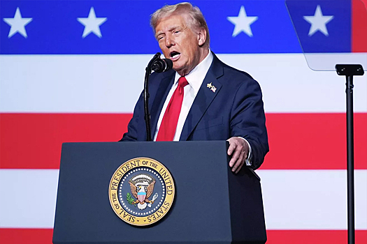 Страны Африки попытались познакомиться с Трампом через Эррола Маска