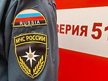 В Щиграх Курской области сгорела квартира