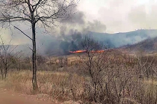 В Приморье шесть часов тушили пожар возле нацпарка "Земля леопарда"