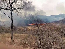В Приморье шесть часов тушили пожар возле нацпарка "Земля леопарда"