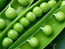 Диетолог назвала продукт для борьбы со стрессом