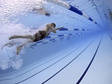 В воронежском парке «Южный» в сентябре откроется спорткомплекс с бассейнами